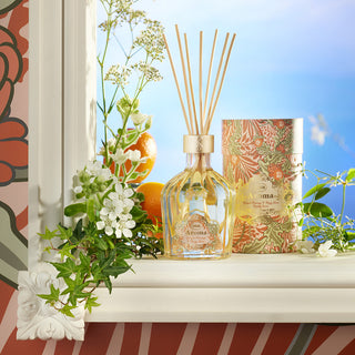 Aroma Reed Diffuser Ginger Orange & Fizzy Lime 245mL
