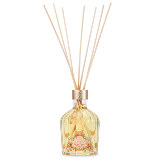 Aroma Reed Diffuser Ginger Orange & Fizzy Lime 250mL
