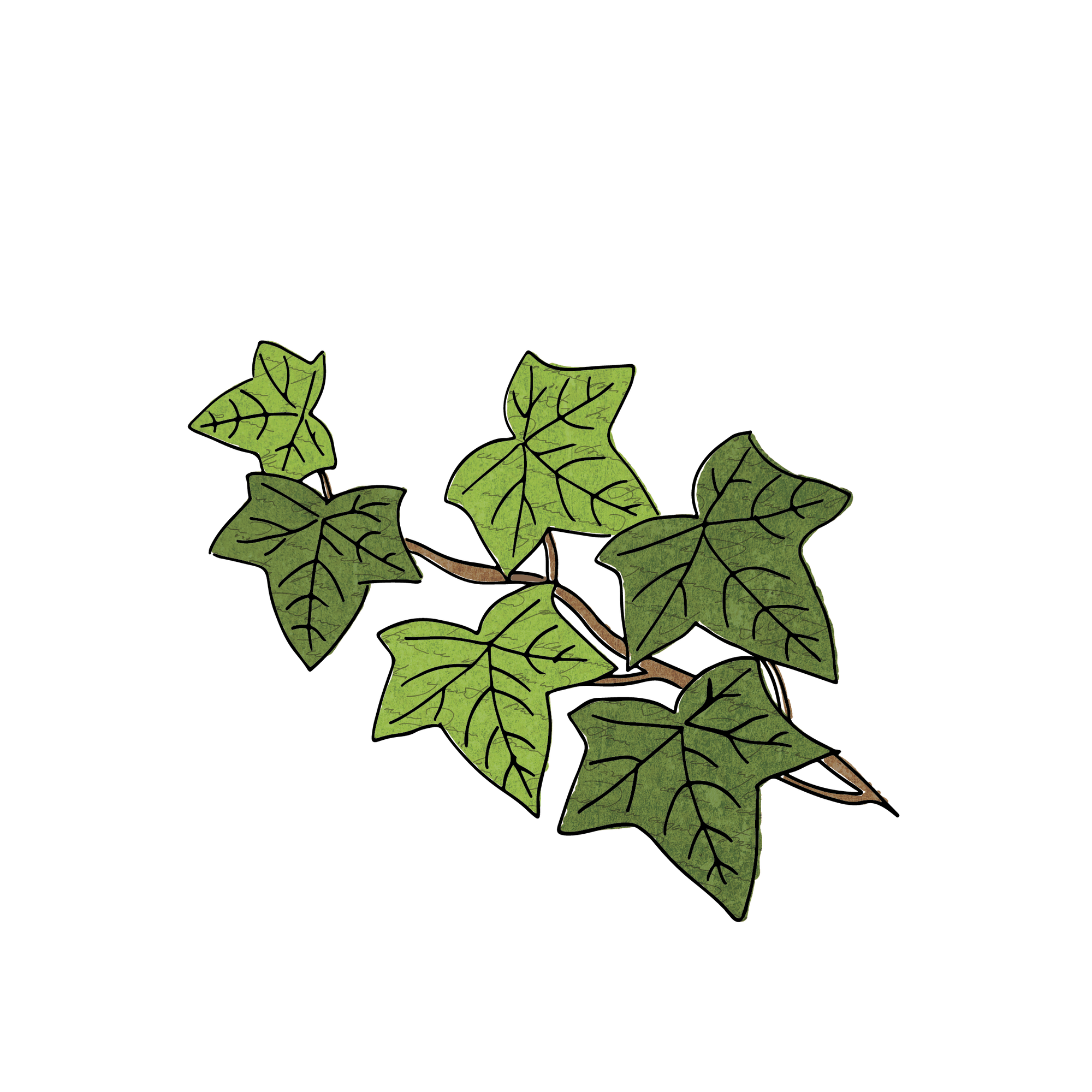 Shower Oil & Body Lotion Lily Palace Kit SABON