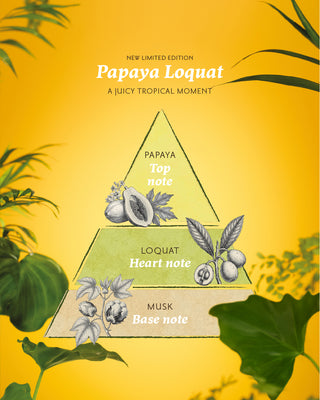 Welcome Kit Papaya Loquat